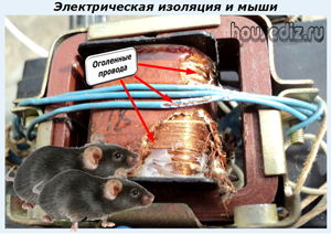 Электрическая изоляция и мыши