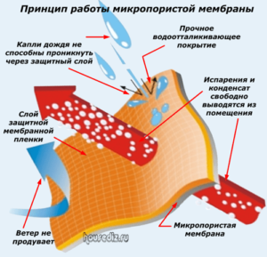 Принцип работы микропористой мембраны