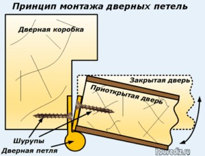 Принцип монтажа дверных петель Принцип монтажа дверных петель