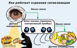 Как работает охранная сигнализация