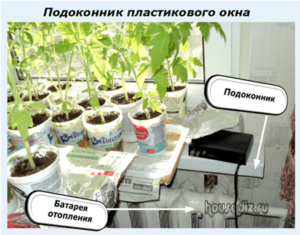 Подоконник пластикового окна Подоконник пластикового окна