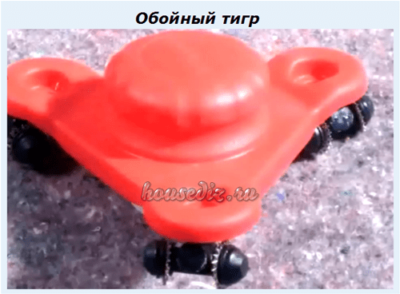 Обойный тигр