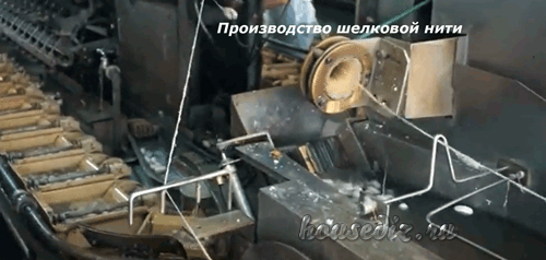 Производство шелковой нити