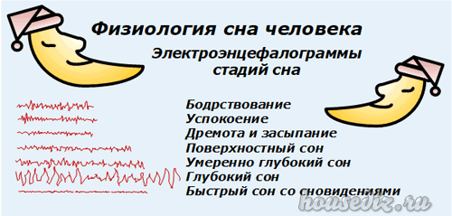 Физиология сна
