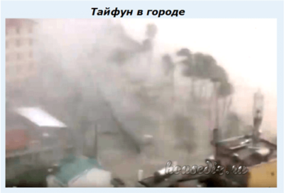 Тайфун