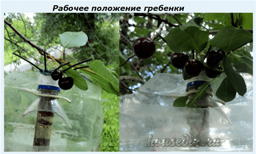 Рабочее положение Рабочее положение гребенки