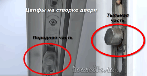 Цапфы на створке Цапфы на створке