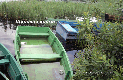 Широкая корма