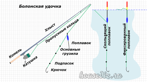 Болонская удочка Болонская снасть