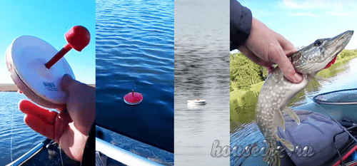 щука на кружки кружки на щуку
