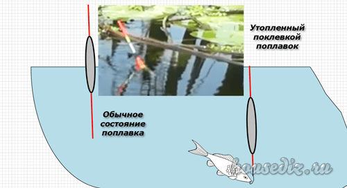 притоп поплавка поклевка на притоп